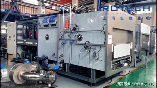 凍干機在制藥與食品領域的差異及箱包代理銷售模式解析